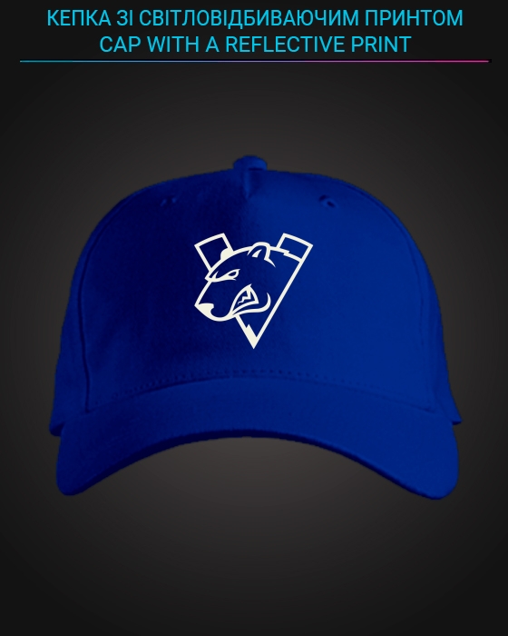 Cap with reflective print Virtus Pro - blue
